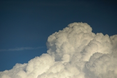SONY DSC