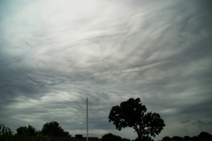 SONY DSC