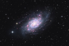 NGC2403fertigclose