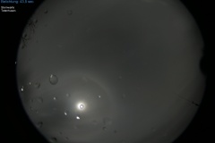 image-20231229035353