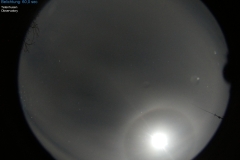 image-20240102034202
