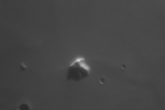 1749536714960
