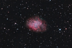 M1_NMS-crop-St-St