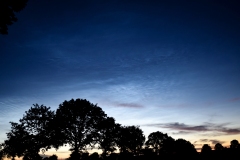 nlc13