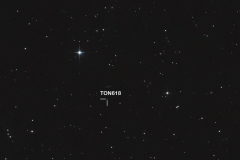 ton618